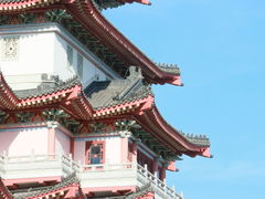 -合江楼