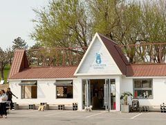 -小意思咖啡店(草桥店)