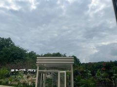 -同里国家湿地公园