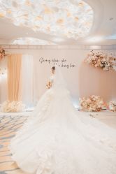 -艾米丽婚纱礼服