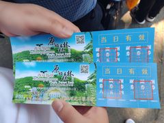 -西双版纳原始森林公园