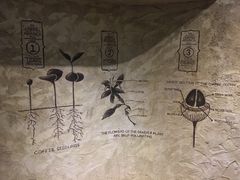 -星巴克臻选(湖滨道店)