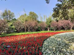 -上海市龙华烈士陵园