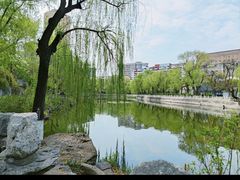 -文瀛公园