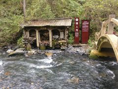 -凤凰山国家森林公园