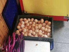 -李东农庄(中南百草园地标店)