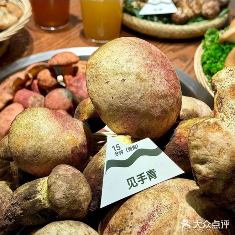 在长沙吃到云南的菇，鲜掉眉毛