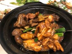 -宝园酒家(美林M·LIVE天地东座店)