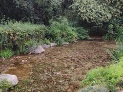 -湖泉半山温泉