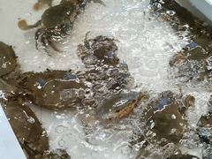 -南沙十九涌渔人码头-南门