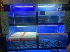 -千岛湖小鱼儿·淳安匠心农家菜