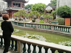-碧江金楼