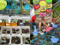 -清平路水族市场