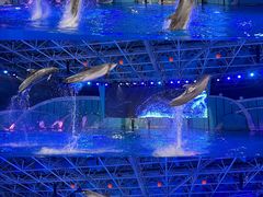 -海合安青岛极地海洋公园