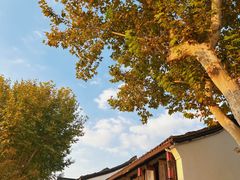 -香积寺