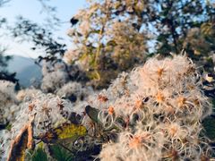 -鬼笑石后山停车场