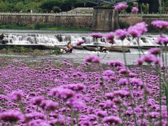 -溪口-滕头旅游景区