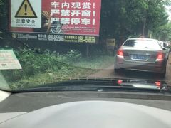 -海南热带野生动植物园