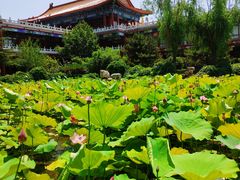 -大明幻境第一城