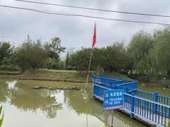 -大队长大灶鹅