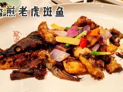 香煎老虎斑鱼-金隅八达岭温泉度假村餐厅