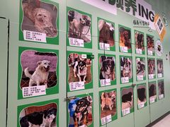 -砂之船奥特莱斯(合肥店)