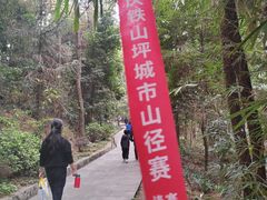 -铁山坪森林公园