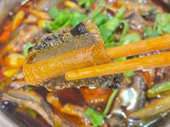 -高坎一品甲鱼庄(两河店)