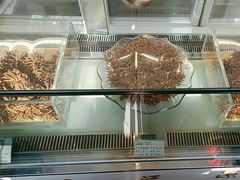 -三江源牌冬虫夏草(中山北路店)