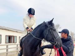 -北京群众马术培训基地