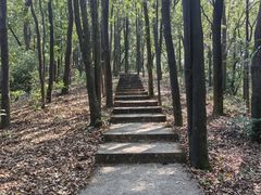 -广州市帽峰山景区