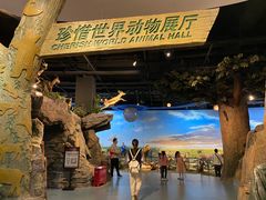 -陕西自然博物馆