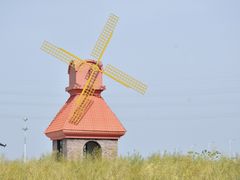 -杭州湾海上花田景区