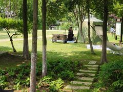 -金银湖国家城市湿地公园