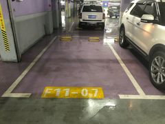 -上海浦东国际机场T1航站楼-P1停车场