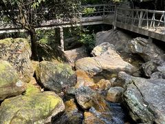 -亚婆田·白水寨生态旅游度假区