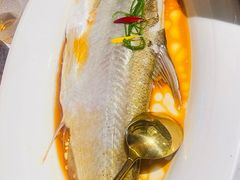 -醉庐·新上海菜(南京西路店)