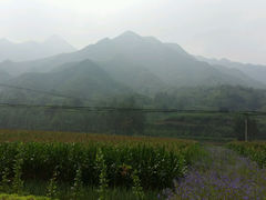 android_upload_pic-木札岭峡谷漂流
