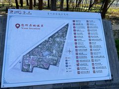 -曹州牡丹园
