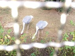 -上方山森林动物世界