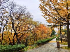 -北京鹫峰国家森林公园