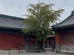 -历代帝王庙博物馆