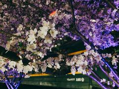 -新天地活力PARK