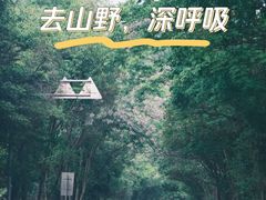 -云和湖仙宫景区