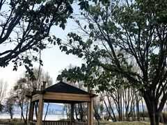 -洱海月湿地公园