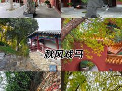 -戏马台景区