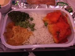-新加坡航空公司(ION)