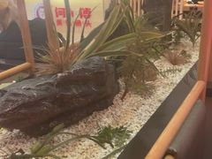 -何师傅美蛙鱼头(汉街店)
