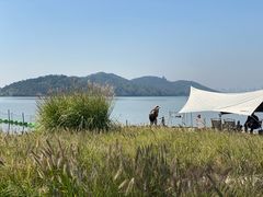 -东湖落雁景区