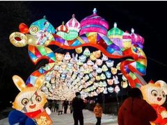 -沈阳奥体冰雪嘉年华